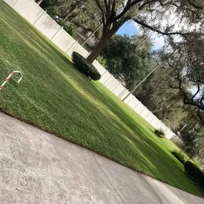 pro-mows lawn care