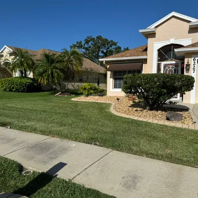 Cruz Landscaping