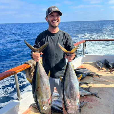 Al The Handyman