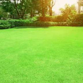 Pleasant View Lawn Care