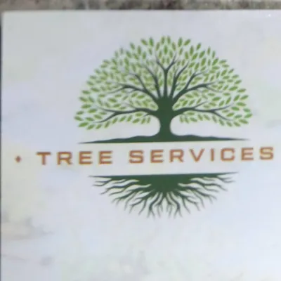 Bucio Garden Service