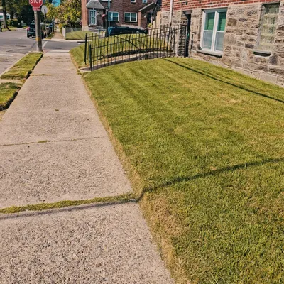 Philly Grass Buddy