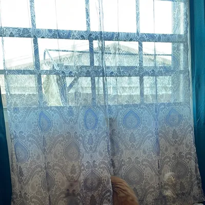 Marypilihousecleaning