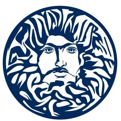 Ilios Professional Services
