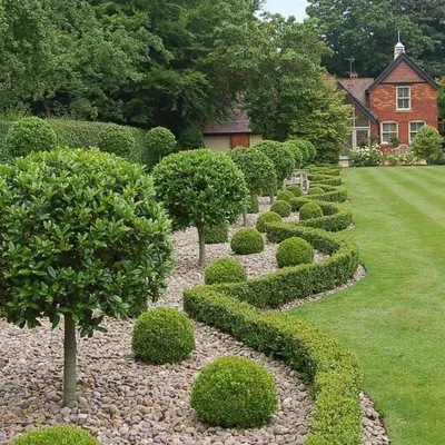 M&S Garden LLC