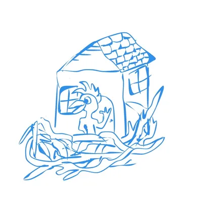 Bird’s Nesting