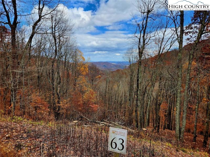 Lot 63 Bob Timberlake Drive, Boone, NC 28607 for Sale