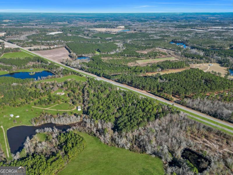 3901 US HIGHWAY 25, Statesboro, GA 30461 Agriculture For Sale  MLS# 10245021