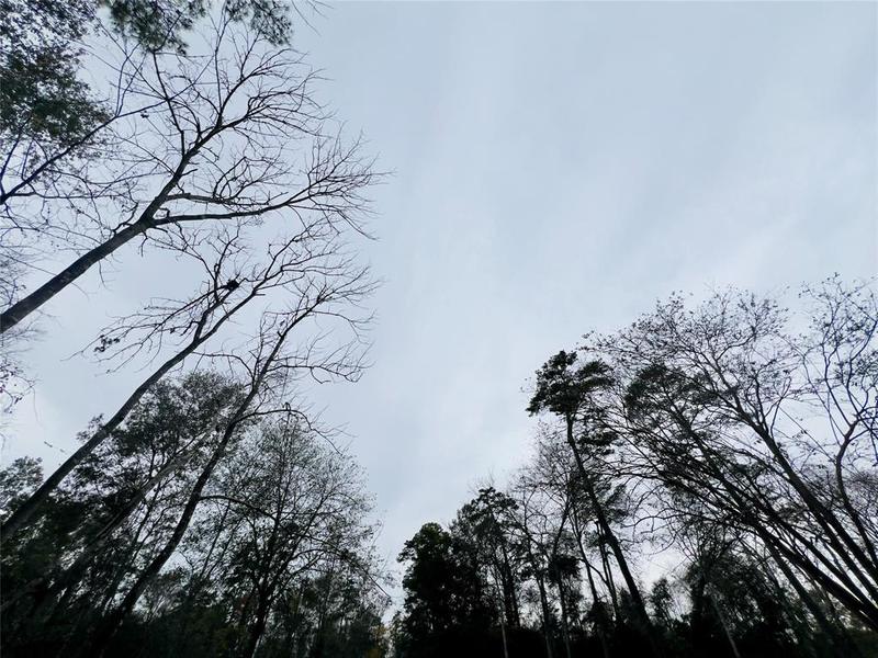 Lot 5 Fenham Ln, Humble, TX 77338 for Sale
