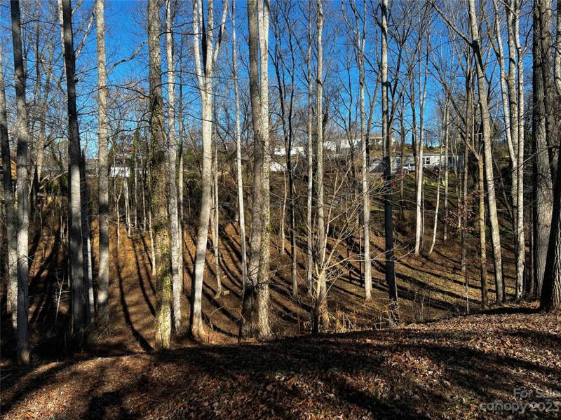 99999 E SKYLAND CIR, Asheville, NC 28804 Land For Sale  MLS# 4098749