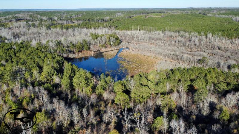 Jena, Greene County, AL Recreational Property, Timberland Property, Hunting Property for sale Property ID: 418877110