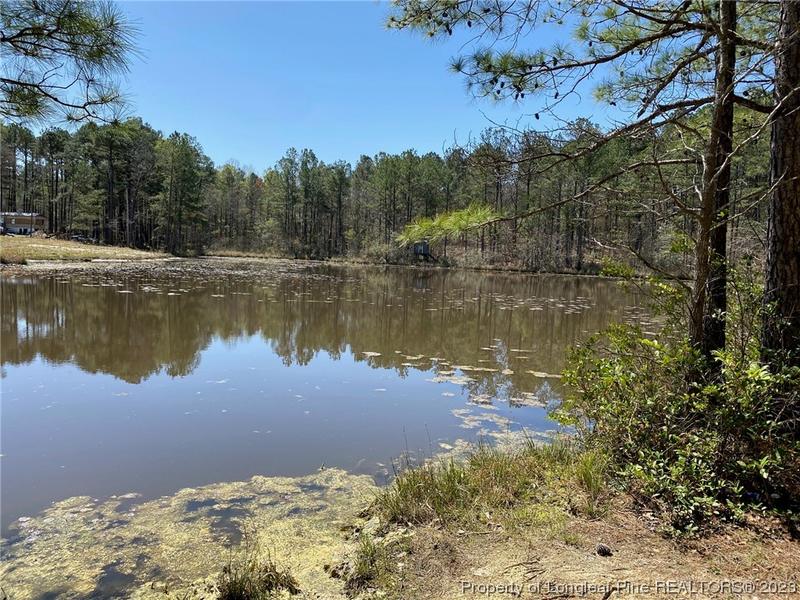 289 Bret Road, Cameron, NC 28326 for Sale