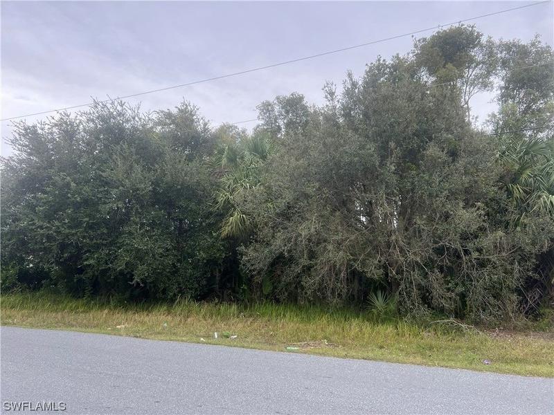 Fort Myers, Lee County, FL Undeveloped Land, Homesites for sale Property ID: 418673217