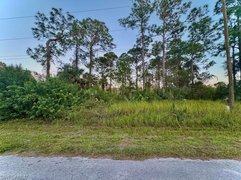 810 Magnolia Ave, Lehigh Acres, FL 33972 - MLS 223082591 for Sale