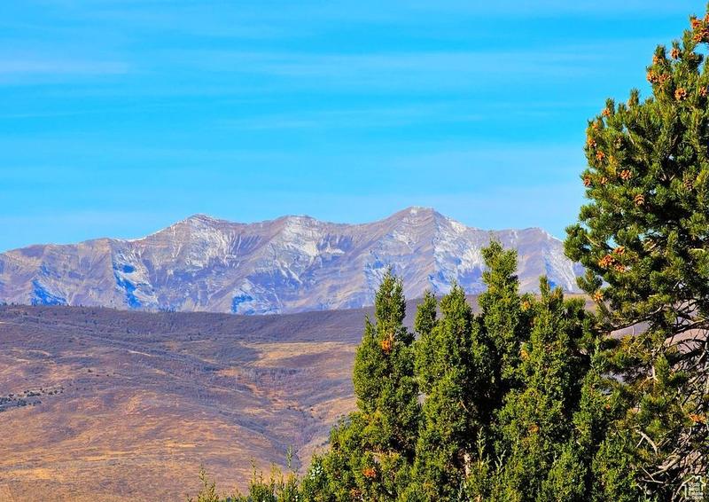 [Address not provided], Fairview, UT 84629 - MLS 1976625 for Sale