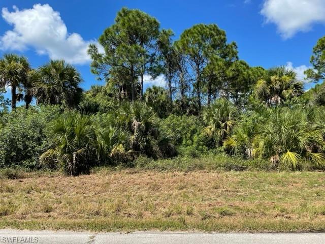 1316 North Andover Drive, La Belle, FL 33935 for Sale