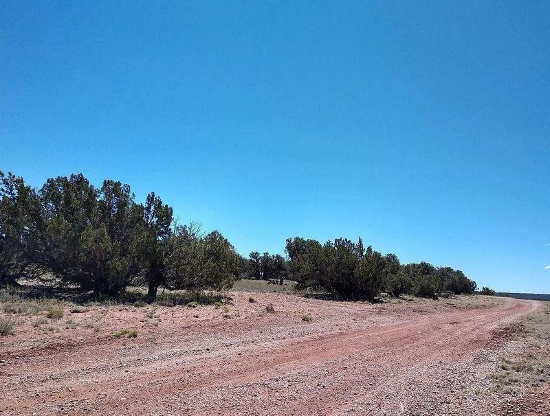 Snowflake, Navajo County, AZ Recreational Property, Undeveloped Land, Homesites for sale Property ID: 418738022