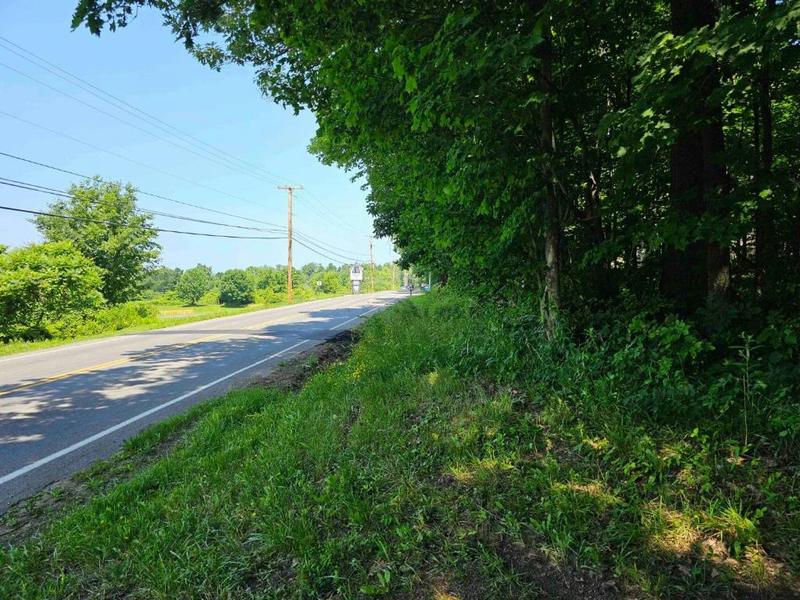 0 LAKE BLUFF ROAD, North Rose, NY 14516 Land For Sale  MLS# IB409039