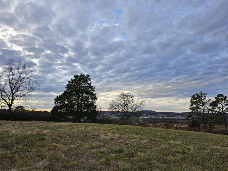 Cleveland, Bradley County, TN Homesites for sale Property ID: 418567045
