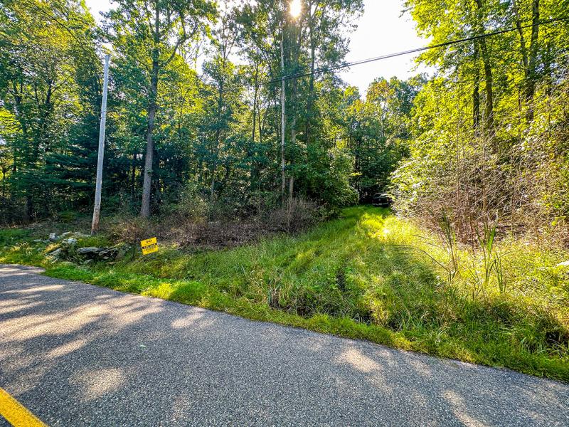 Bloomsburg, Columbia County, PA Recreational Property, Timberland Property for sale Property ID: 418799424