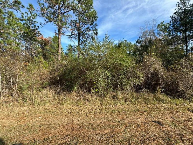 0 WILMER GEORGETOWN ROAD, Wilmer, AL 36587 Land For Sale  MLS# 7312068
