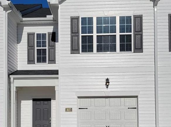 307 David Hl Dr - Buffalo Lake, NC 27330 - Home For Rent