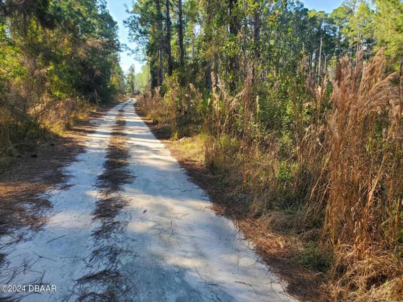 113 FOREST ST, Georgetown, FL 32139 Land For Sale  MLS# 1119304 for Rent