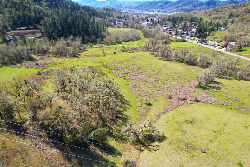 Roseburg, Douglas County, OR Undeveloped Land for sale Property ID: 418704750