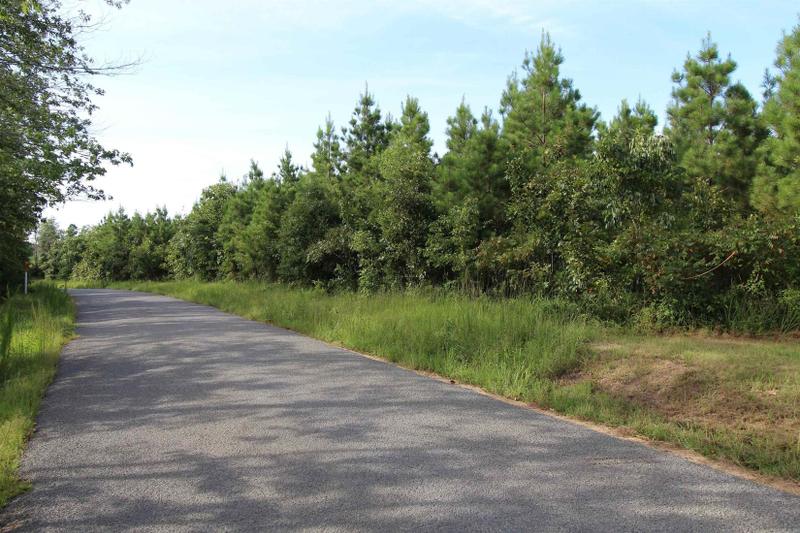Sheridan, Grant County, AR Undeveloped Land, Homesites for sale Property ID: 418840777