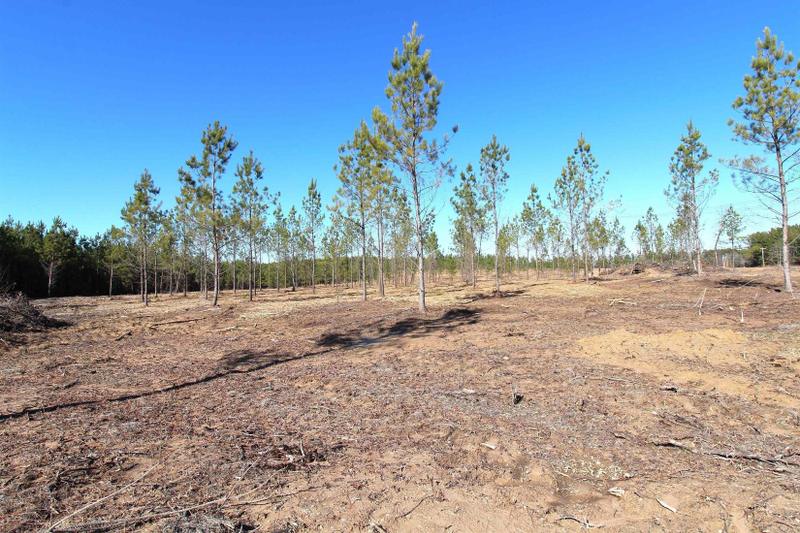 Sheridan, Grant County, AR Undeveloped Land for sale Property ID: 418840772