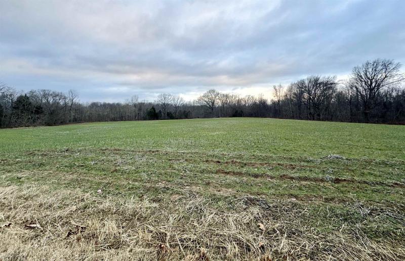 Halls, Lauderdale County, TN for sale Property ID: 418673380