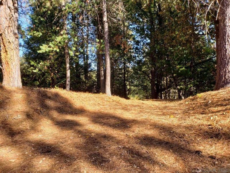 1812 SANDALWOOD DR, Murphys, CA 95247 Land For Sale  MLS# 202400104