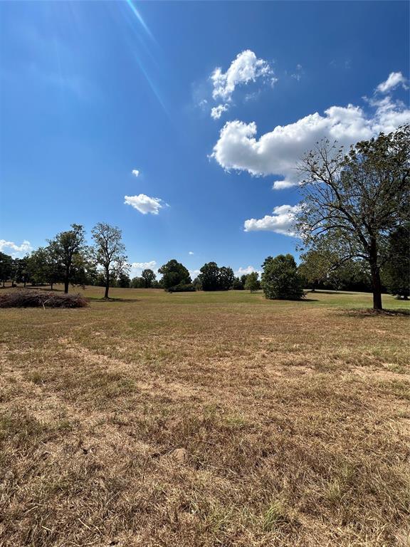 Lot 4 Easy Street Rd, Livingston, TX 77351 for Sale