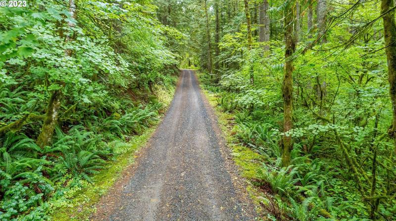 0 NW Green Mountain Rd, Banks, OR 97106 - MLS 23320324 for Sale