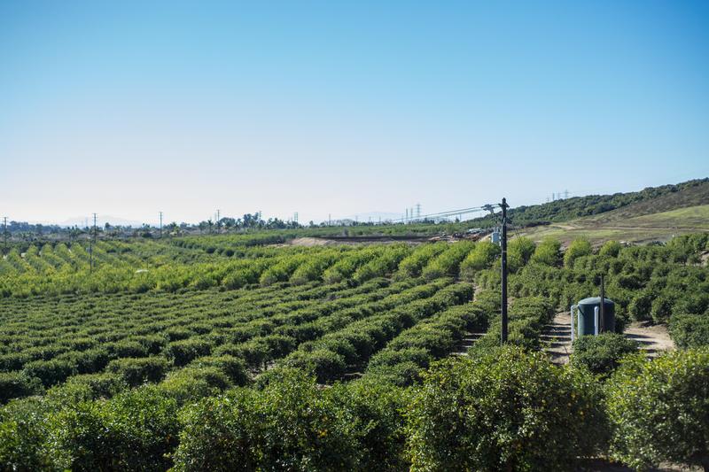 0 Foothill Road, Ventura, CA 93004 for Sale