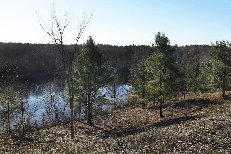 Ladysmith, Rusk County, WI Recreational Property, Hunting Property, Lakefront Property, Waterfront Property, Homesites for sale