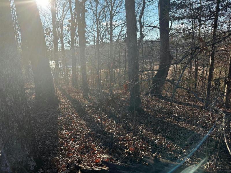 14 WAGON CREEK LOOP, Creal Springs, IL 62922 Land For Sale  MLS# 23064144