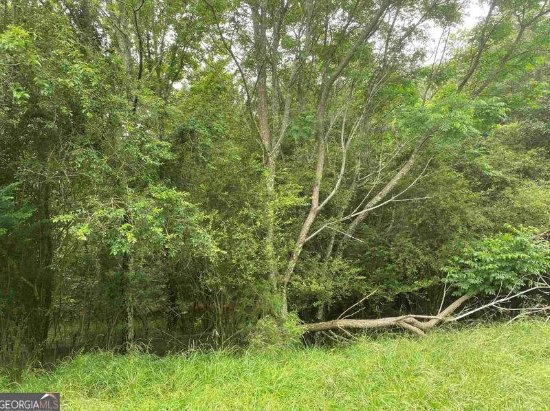 0 River Birch Ln, Colbert, GA 30628 - MLS 20165385 for Sale