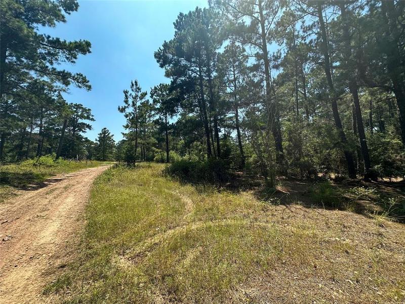 Lot 23 Timberforest Dr, Bastrop, TX 78602 for Sale