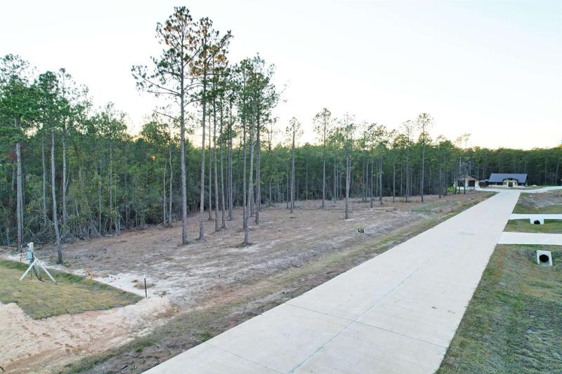 Brookeland, Jasper County, TX Undeveloped Land, Homesites for sale Property ID: 418503977