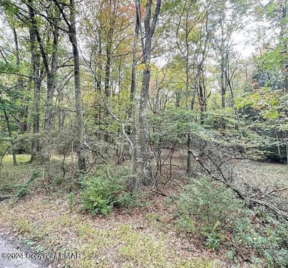 A140 ROSEWOOD DRIVE, Jim Thorpe, PA 18229 Land For Sale  MLS# PM-112346