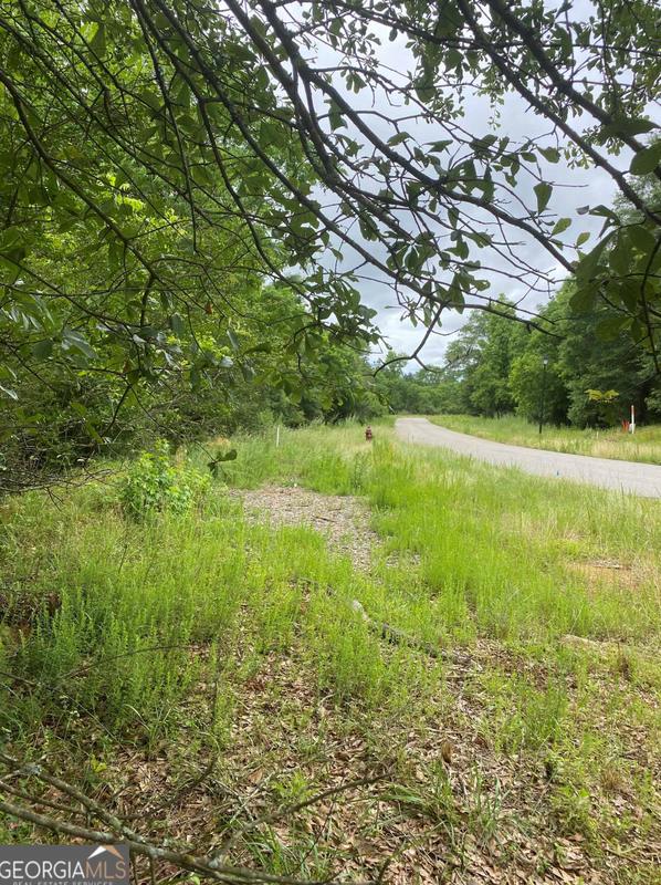 0 River Birch Ln, Colbert, GA 30628 - MLS 20165386 for Sale