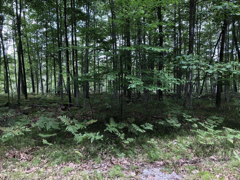 Canadian Lakes, Mecosta County, MI Homesites for sale Property ID: 418933247
