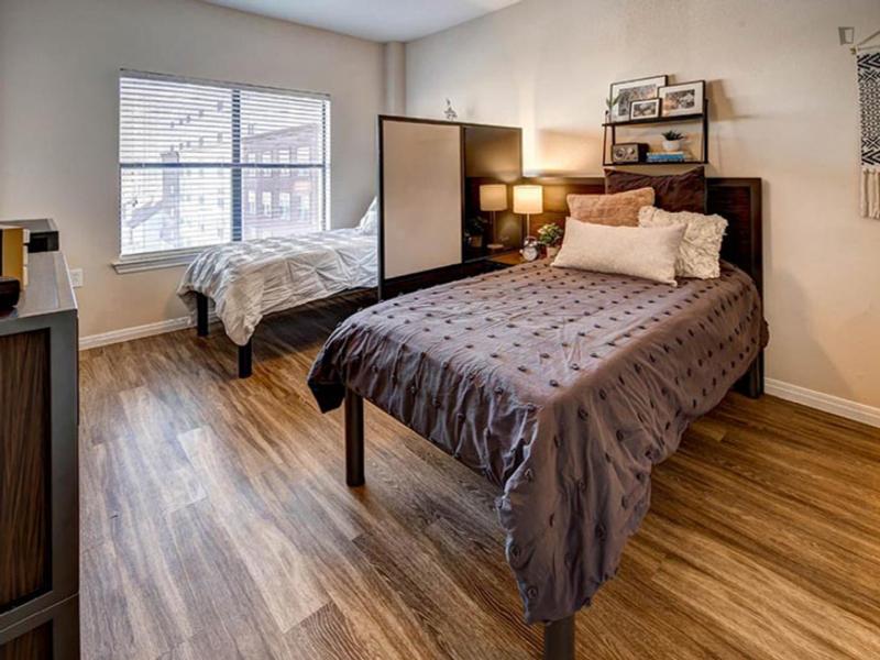 Alluring double bedroom in West Campus for Rent