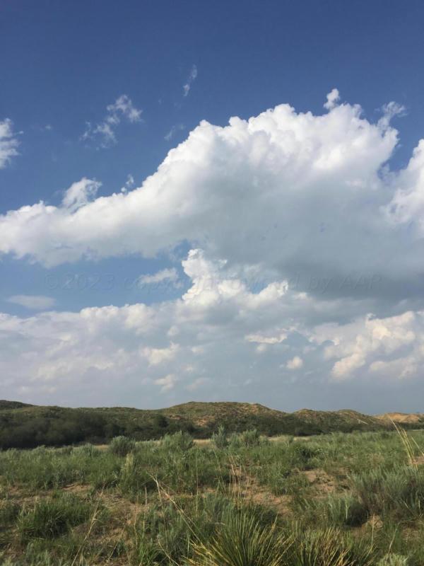 261 FLINT ACRES DRIVE, Dumas, TX 79029 Land For Sale  MLS# 23-8935