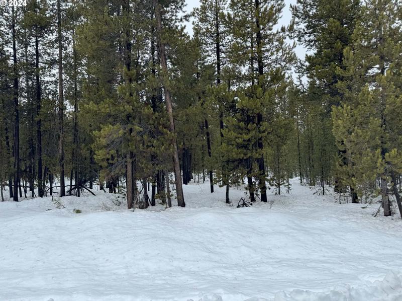 Two Rivers Rd #TL-9, Crescent Lake, OR 97733 - MLS 24467482 for Sale