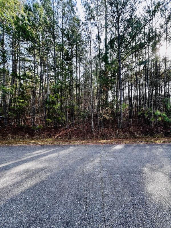 Mc Cormick, Mc Cormick County, SC Undeveloped Land, Lakefront Property, Waterfront Property, Homesites for sale Property ID: