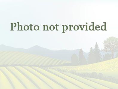 Conway, Horry County, SC Undeveloped Land, Homesites for sale Property ID: 418656955