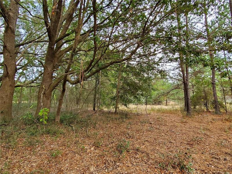 Tbd Southwest 171 Place, Archer, FL 32618 for Sale