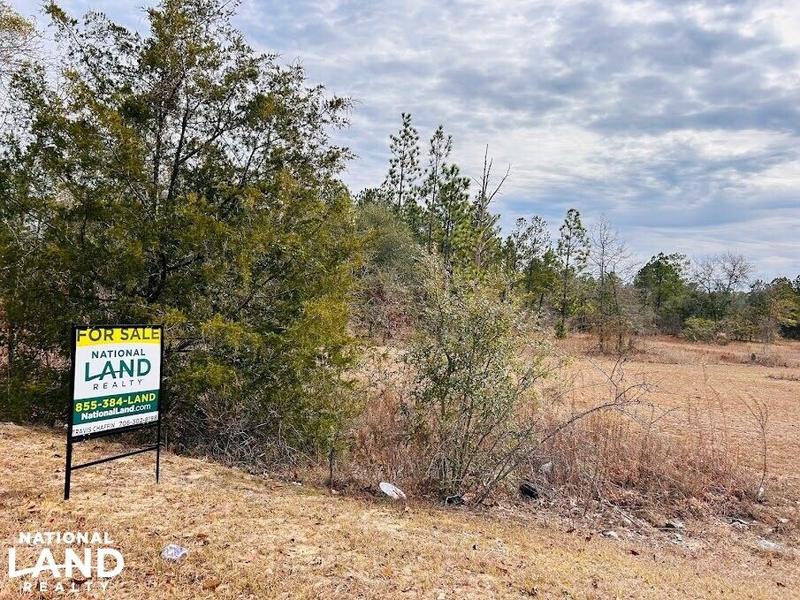 Butler, Taylor County, GA for sale Property ID: 418858592